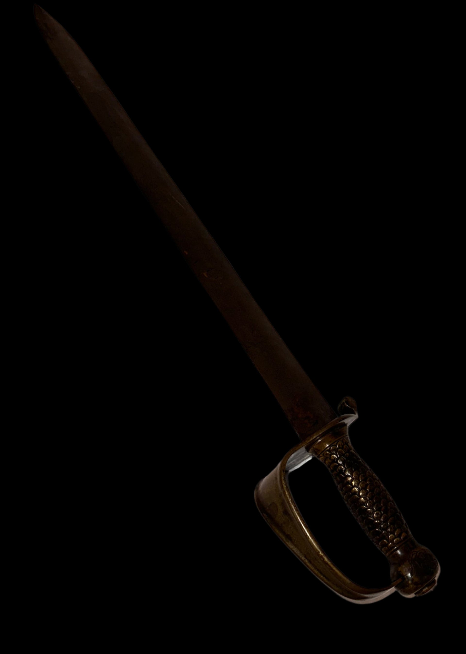 Confederate States Navy Cutlass with CSN-Inscribed Pommel – No Scabbard