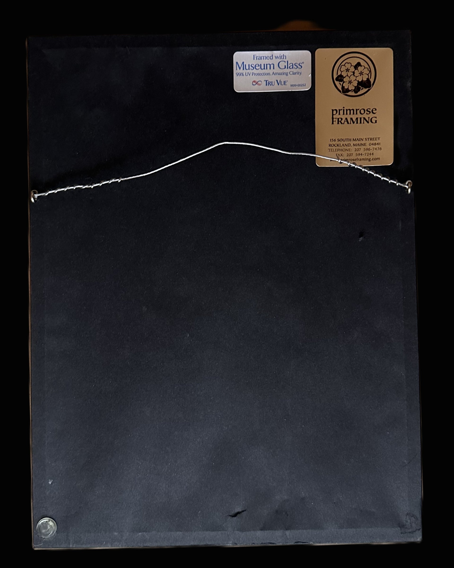 Framed Funeral Procession Photograph of Count Zeppelin – Stuttgart, March 1917