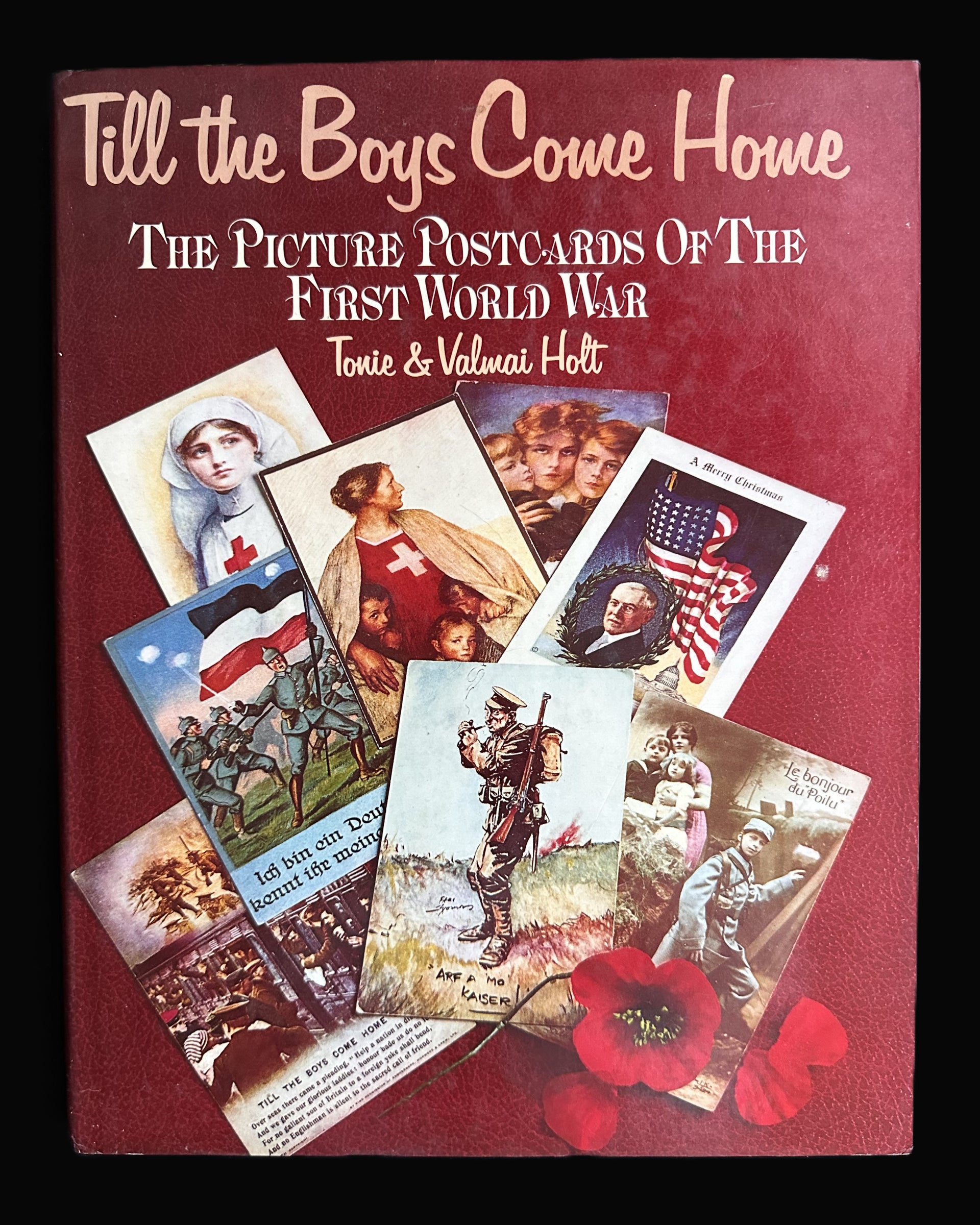 Till the Boys Come Home: The First World War Through its Picture Postcards