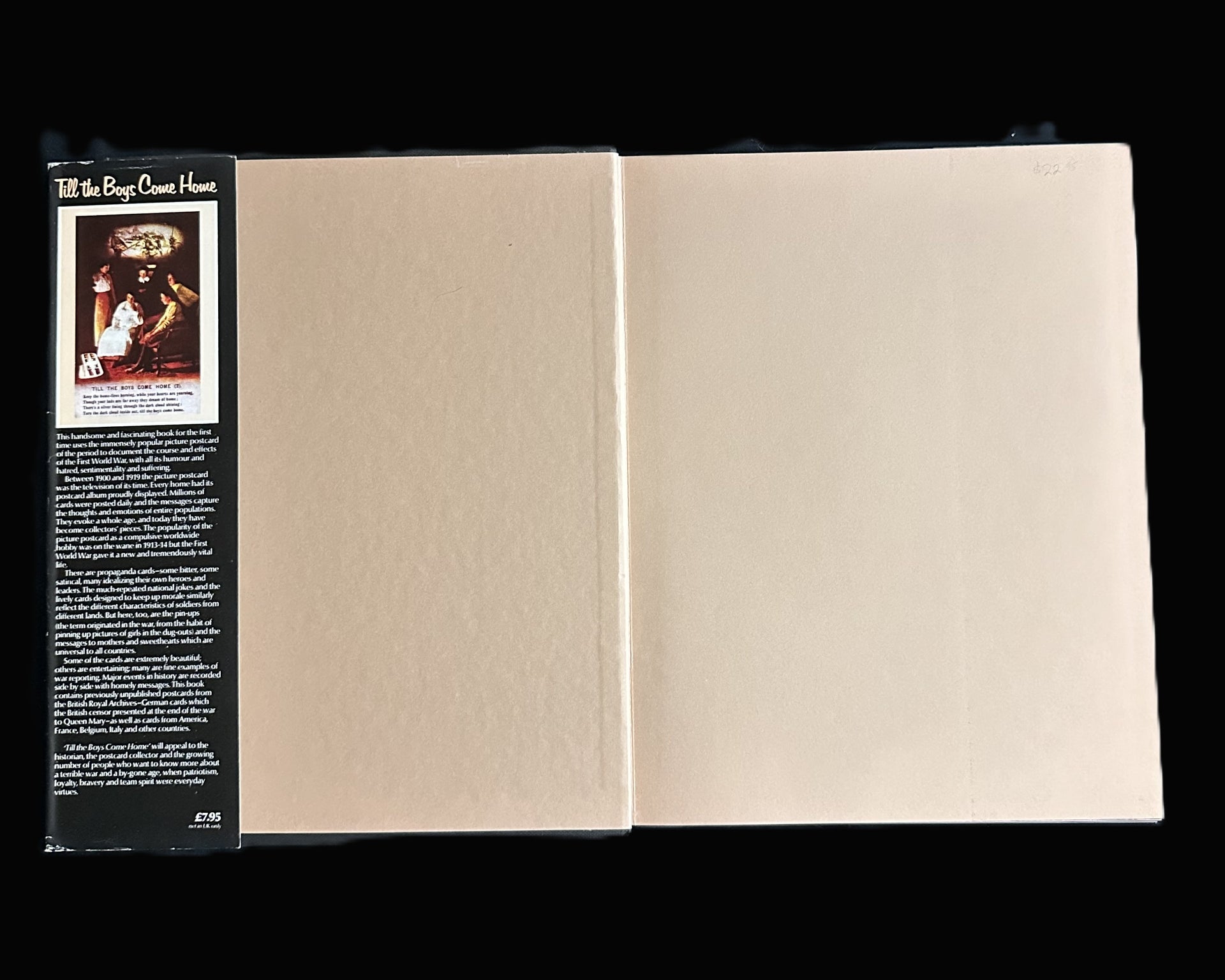 Till the Boys Come Home: The First World War Through its Picture Postcards