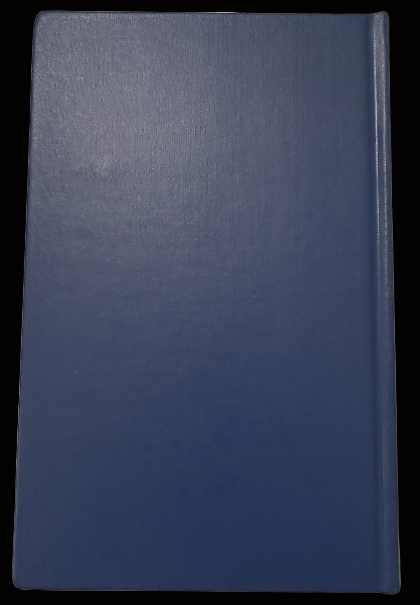 The Blood Order Jack D. Hunter 1979 Blue Max Sequel Bruno Stachel Aviation Novel