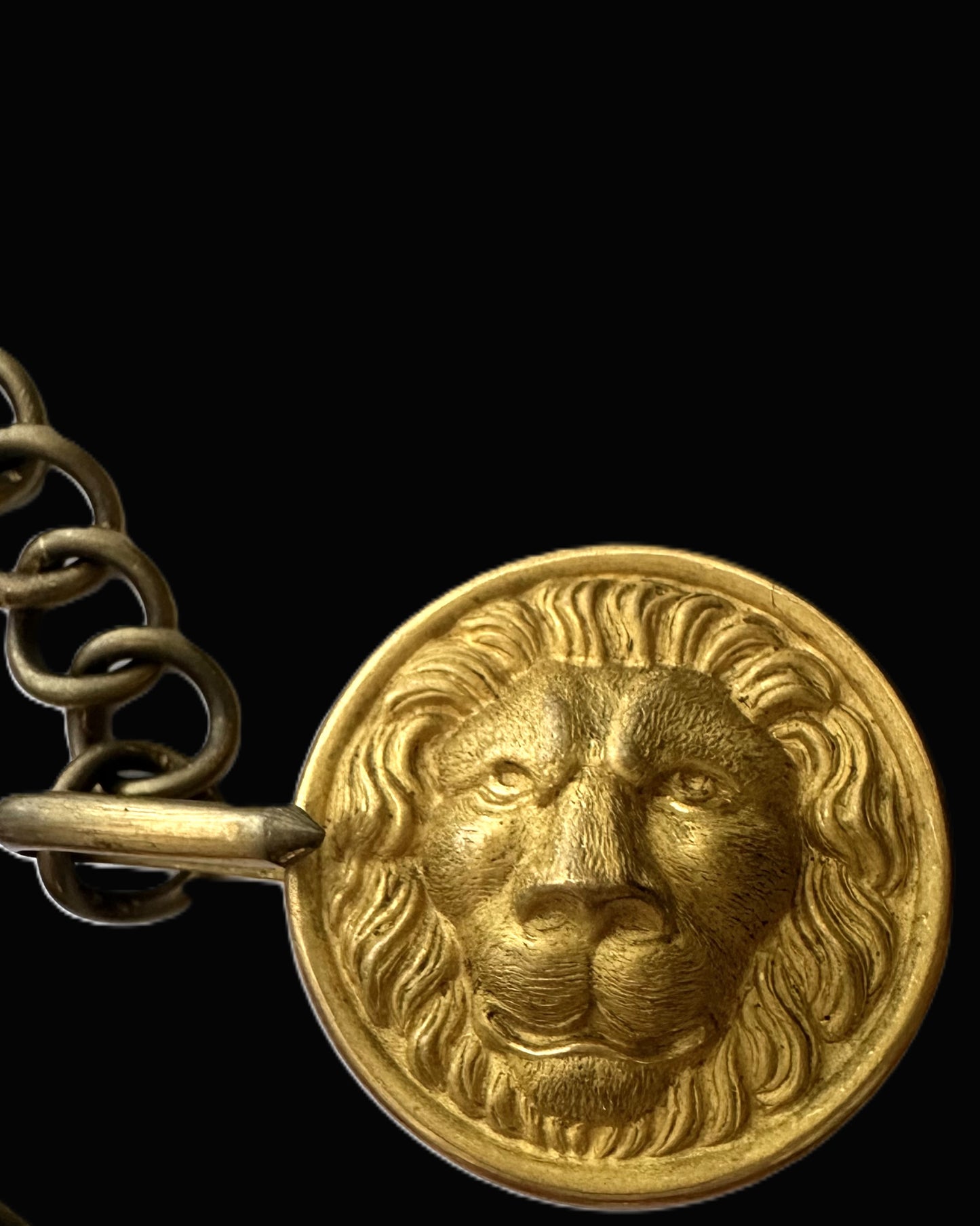 Lion-Head Chain-Linked Brass Buttons – Late 19th to Early 20th Century